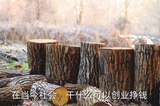 在當(dāng)今社會，干什么可以創(chuàng)業(yè)掙錢