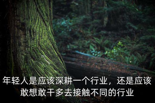 年輕人是應(yīng)該深耕一個(gè)行業(yè)，還是應(yīng)該敢想敢干多去接觸不同的行業(yè)