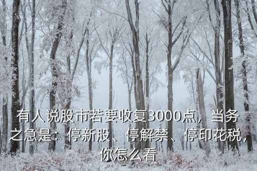 有人說股市若要收復(fù)3000點(diǎn)，當(dāng)務(wù)之急是：停新股、停解禁、停印花稅，你怎么看