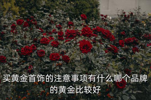 買什么黃金最好,請(qǐng)問(wèn)買什么黃金好