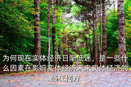 為何現(xiàn)在實(shí)體經(jīng)濟(jì)日漸低迷，是一些什么因素在影響實(shí)體經(jīng)濟(jì)未來實(shí)體經(jīng)濟(jì)的路在何方
