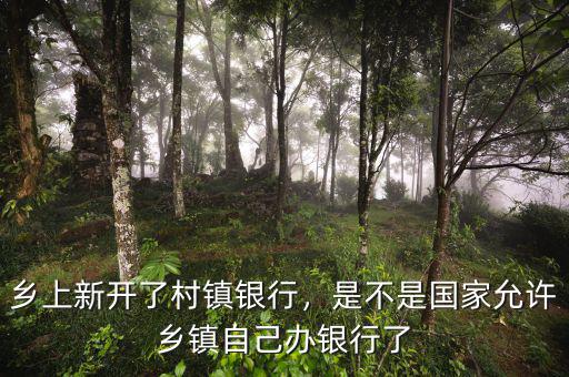 細說為什么辦村鎮(zhèn)銀行,去村鎮(zhèn)銀行辦業(yè)務
