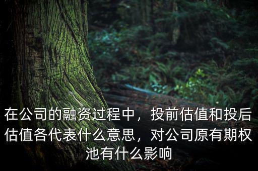 在公司的融資過(guò)程中，投前估值和投后估值各代表什么意思，對(duì)公司原有期權(quán)池有什么影響