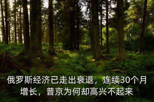 俄羅斯經(jīng)濟(jì)已走出衰退，連續(xù)30個月增長，普京為何卻高興不起來