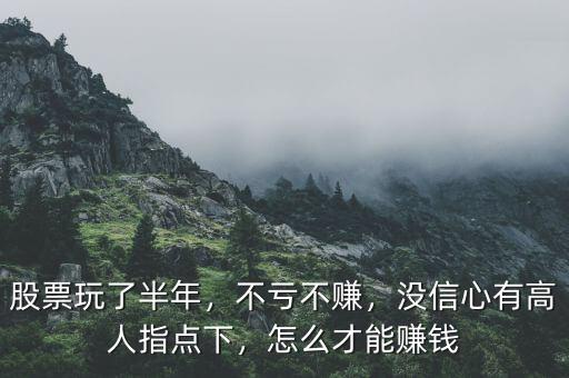 股票玩了半年，不虧不賺，沒信心有高人指點下，怎么才能賺錢