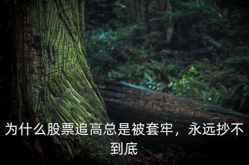 為什么股票追高總是被套牢，永遠(yuǎn)抄不到底