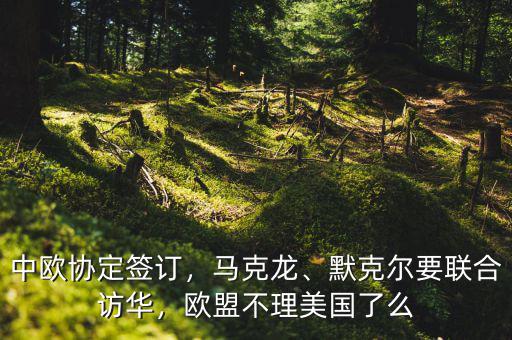 中歐協(xié)定簽訂，馬克龍、默克爾要聯(lián)合訪華，歐盟不理美國了么
