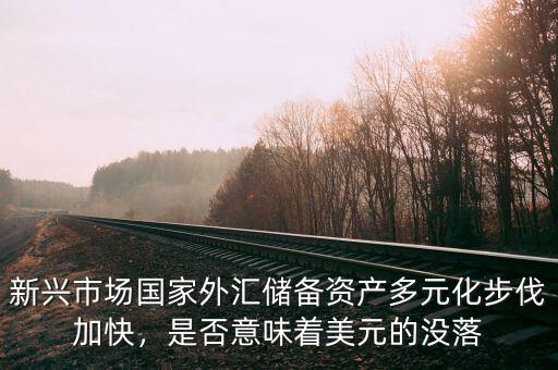 新興市場國家外匯儲(chǔ)備資產(chǎn)多元化步伐加快，是否意味著美元的沒落