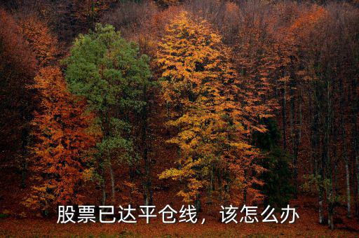 股票已達(dá)平倉(cāng)線，該怎么辦