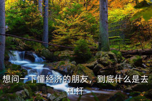 想問(wèn)一下懂經(jīng)濟(jì)的朋友，到底什么是去杠桿