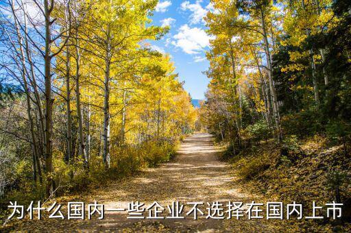 為什么國內一些企業(yè)不選擇在國內上市