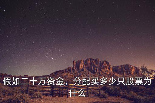 假如二十萬資金，分配買多少只股票為什么