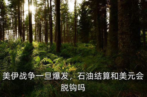 美伊戰(zhàn)爭一旦爆發(fā)，石油結(jié)算和美元會脫鉤嗎