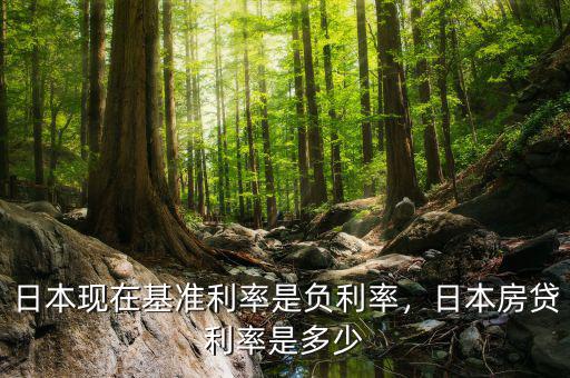日本現(xiàn)在基準(zhǔn)利率是負(fù)利率，日本房貸利率是多少