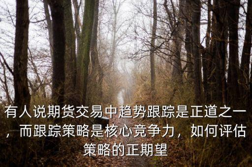 有人說(shuō)期貨交易中趨勢(shì)跟蹤是正道之一，而跟蹤策略是核心競(jìng)爭(zhēng)力，如何評(píng)估策略的正期望