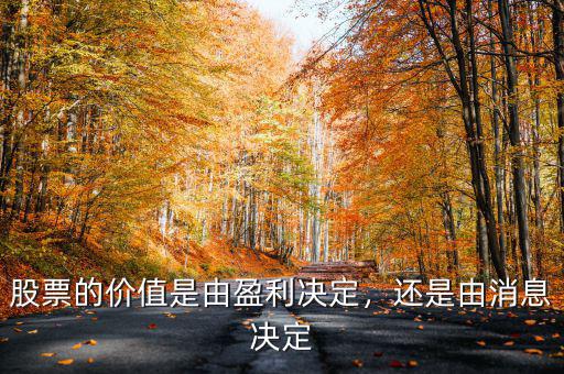 股票的價(jià)值是由盈利決定，還是由消息決定