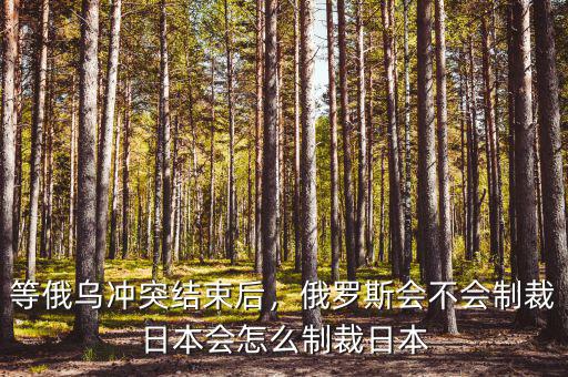 等俄烏沖突結(jié)束后，俄羅斯會不會制裁日本會怎么制裁日本