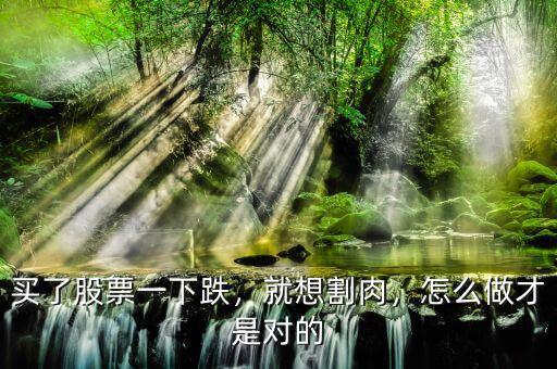 買了股票一下跌，就想割肉，怎么做才是對(duì)的