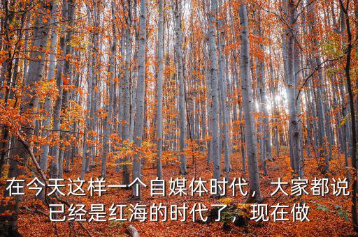在今天這樣一個自媒體時代，大家都說已經(jīng)是紅海的時代了，現(xiàn)在做
