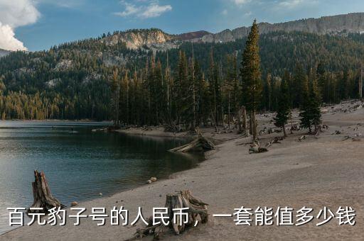 百元豹子號的人民幣，一套能值多少錢