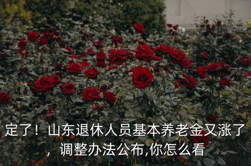 定了！山東退休人員基本養(yǎng)老金又漲了，調(diào)整辦法公布,你怎么看