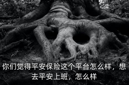 你們覺得平安保險(xiǎn)這個(gè)平臺(tái)怎么樣，想去平安上班，怎么樣