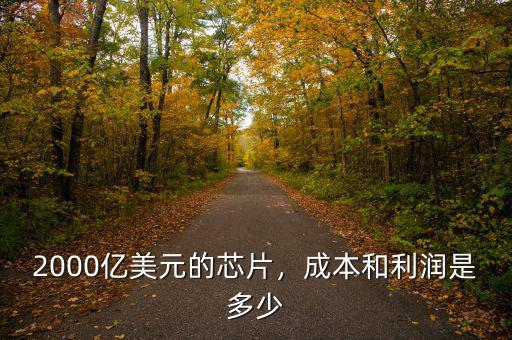 2000億美元的芯片，成本和利潤是多少