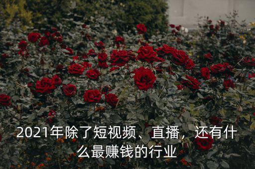 2021年除了短視頻、直播，還有什么最賺錢的行業(yè)
