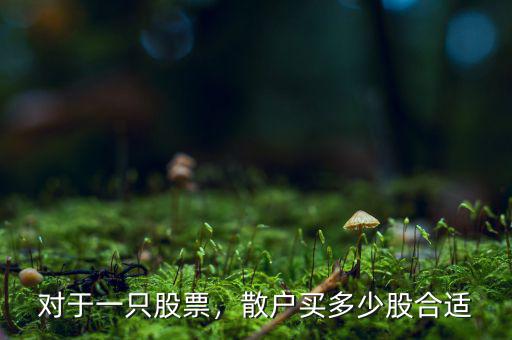 對于一只股票，散戶買多少股合適