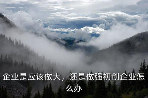 企業(yè)是應該做大，還是做強初創(chuàng)企業(yè)怎么辦