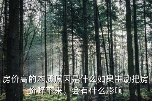 房價(jià)高的本質(zhì)原因是什么如果主動把房價(jià)降下來，會有什么影響