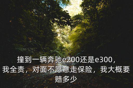 撞到一輛奔馳e200還是e300，我全責(zé)，對(duì)面不愿意走保險(xiǎn)，我大概要賠多少