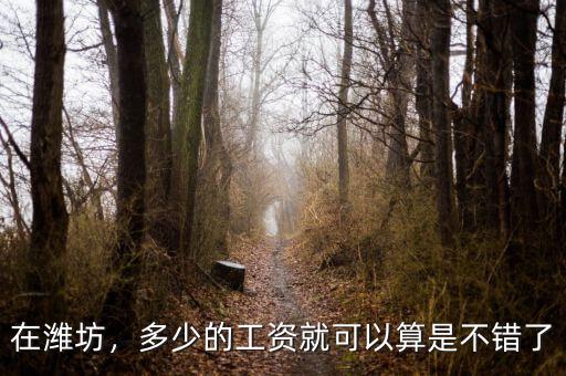 在濰坊，多少的工資就可以算是不錯了