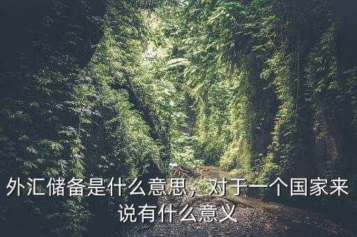 外匯儲(chǔ)備是什么意思，對(duì)于一個(gè)國(guó)家來(lái)說(shuō)有什么意義