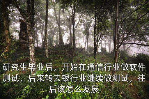 研究生畢業(yè)后，開始在通信行業(yè)做軟件測(cè)試，后來轉(zhuǎn)去銀行業(yè)繼續(xù)做測(cè)試，往后該怎么發(fā)展