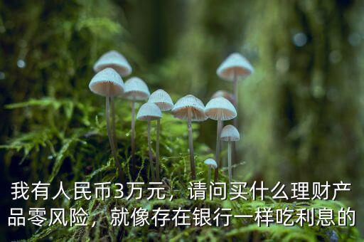 我有人民幣3萬元，請問買什么理財產(chǎn)品零風險，就像存在銀行一樣吃利息的