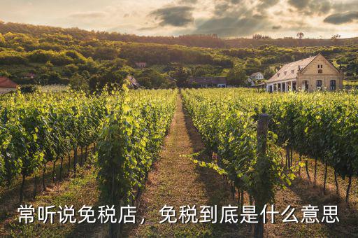 常聽說免稅店，免稅到底是什么意思