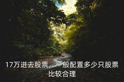 17萬進(jìn)去股票，一般配置多少只股票比較合理