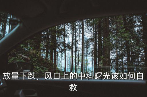 放量下跌，風口上的中科曙光該如何自救