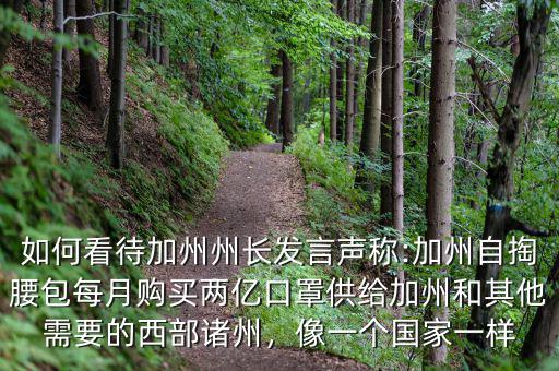 如何看待加州州長發(fā)言聲稱:加州自掏腰包每月購買兩億口罩供給加州和其他需要的西部諸州，像一個國家一樣