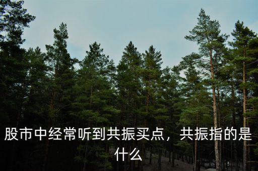 股市中經(jīng)常聽到共振買點(diǎn)，共振指的是什么
