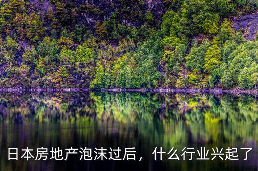 日本房地產(chǎn)泡沫過(guò)后，什么行業(yè)興起了