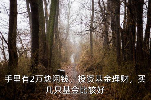 手里有2萬塊閑錢，投資基金理財(cái)，買幾只基金比較好