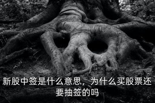 新股中簽是什么意思，為什么買股票還要抽簽的嗎