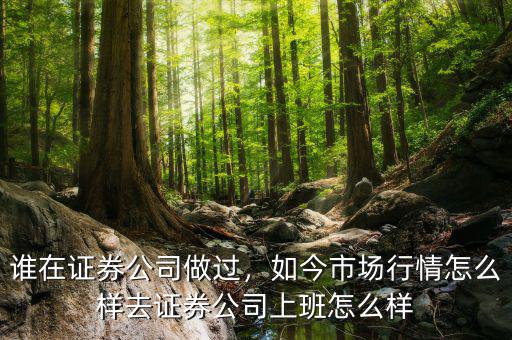 誰在證券公司做過，如今市場行情怎么樣去證券公司上班怎么樣