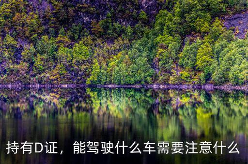 持有D證，能駕駛什么車需要注意什么