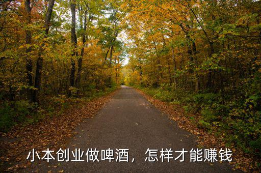 小本創(chuàng)業(yè)做啤酒，怎樣才能賺錢