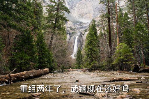 重組兩年了，武鋼現(xiàn)在還好嗎