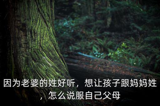 因為老婆的姓好聽，想讓孩子跟媽媽姓，怎么說服自己父母