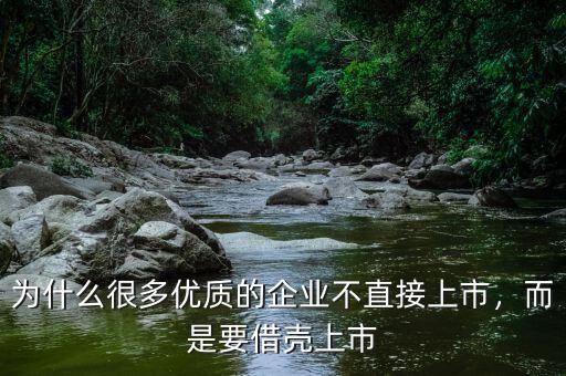 為什么很多優(yōu)質(zhì)的企業(yè)不直接上市，而是要借殼上市